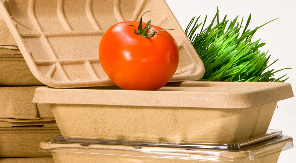 Bagasse is All the Rage…but what is it? - Material Motion Inc.